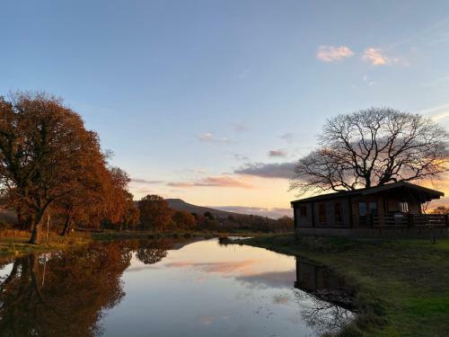Redwood Lodge