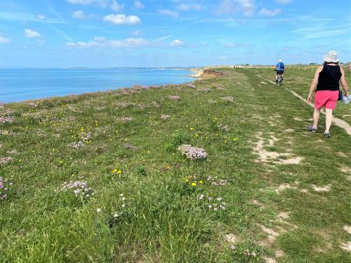 Cliftonville, Coast & Forest Homestay