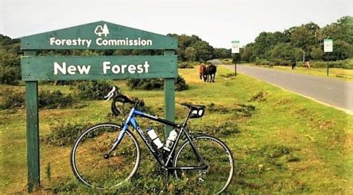 Cliftonville, Coast & Forest Homestay