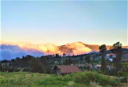 Hotel Rahayu Jawarika Bromo