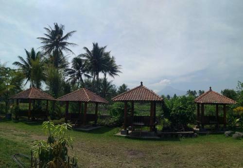 Hostal Joglo Greenhouse