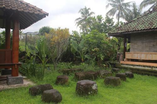 Hostal Joglo Greenhouse