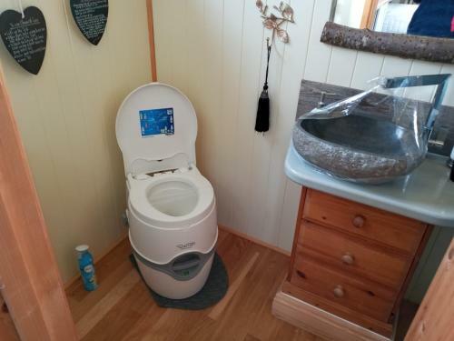 Glamping Malvern Shepherd Hut