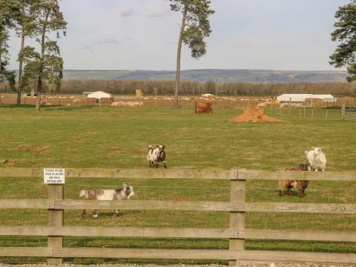 Hartswood East