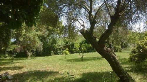 Campo Al Pozzo Cozy Cottage