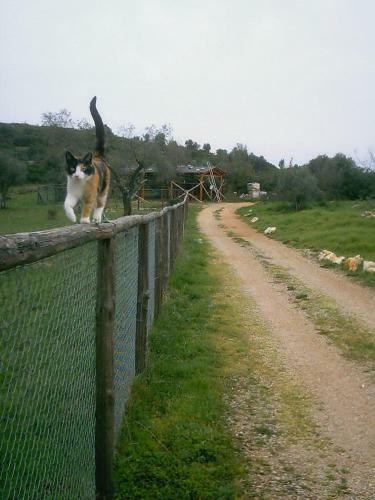 Campo Al Pozzo Cozy Cottage
