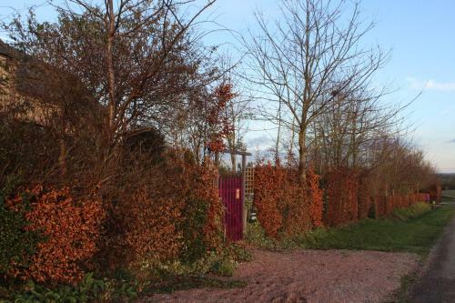 Bed & Breakfast Au Jardin Des Violettes