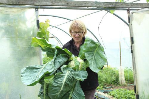 Bed & Breakfast Au Jardin Des Violettes