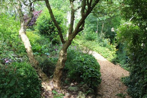Bed & Breakfast Au Jardin Des Violettes