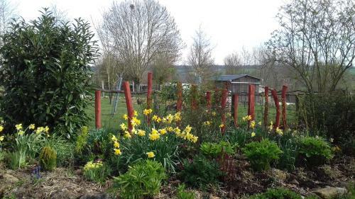 Bed & Breakfast Au Jardin Des Violettes