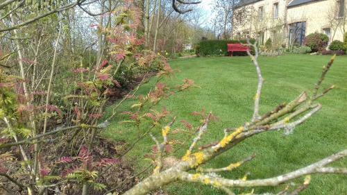 Bed & Breakfast Au Jardin Des Violettes