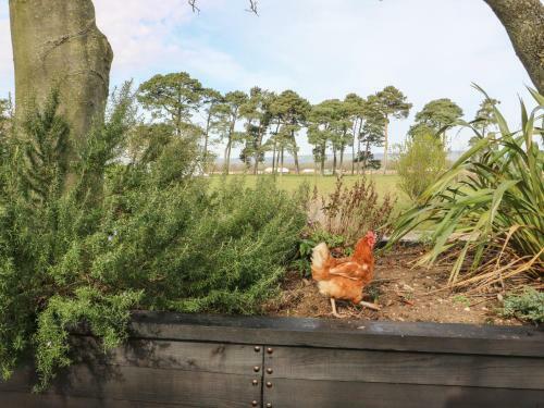 Hartswood Farm