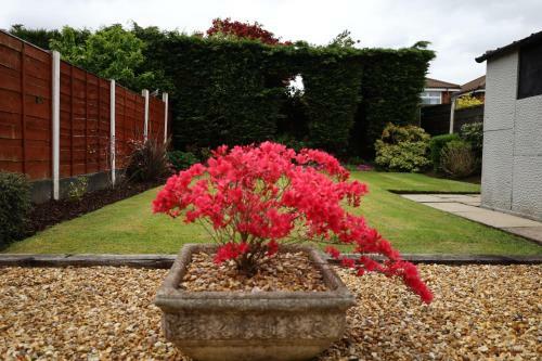 Ideal Home Away At Peveril