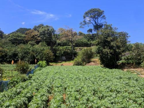 Hostal Acme Divine View
