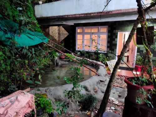 The Stay ( Adventure Hostel)