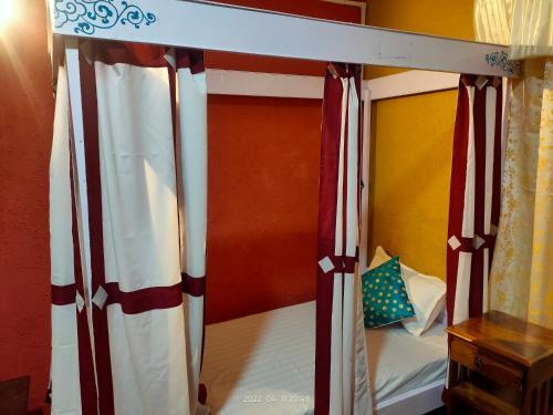 The Stay ( Adventure Hostel)