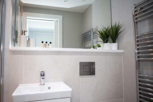 Modern City Centre Apartment Roof Garden
