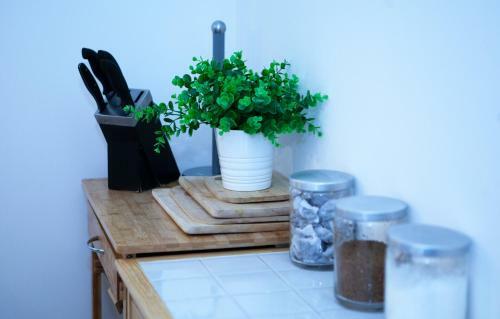 Modern City Centre Apartment Roof Garden