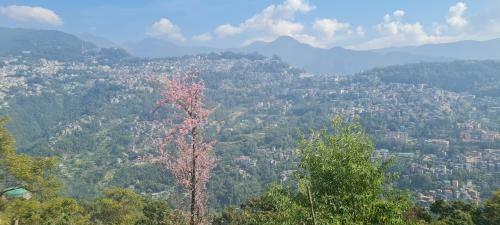 Bed & Breakfast Panoramic Mega Homestay Ranka Gangtok