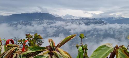 Bed & Breakfast Panoramic Mega Homestay Ranka Gangtok