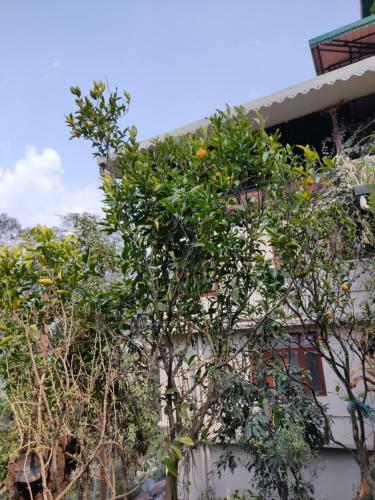 Hotel Kunda'e Residency