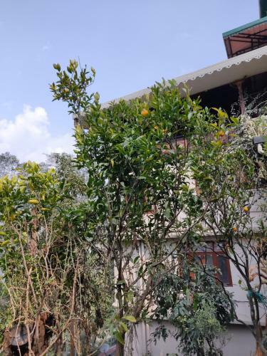 Hotel Kunda'e Residency