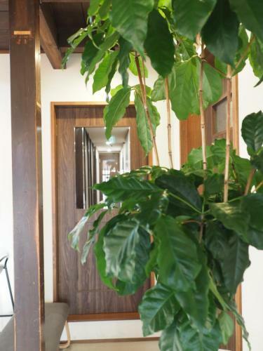 Albergue ????????????