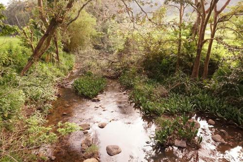 Retiyagama Eco Resort