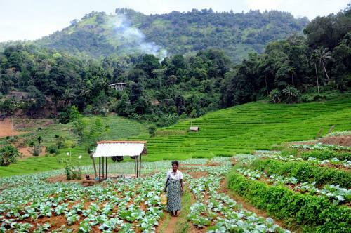 Retiyagama Eco Resort
