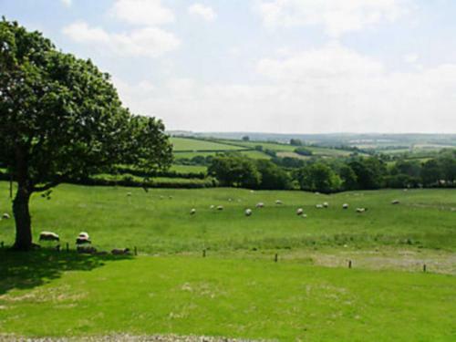 The Stable