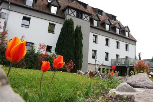 Hotel H�tel Restaurant Les Aliz�s