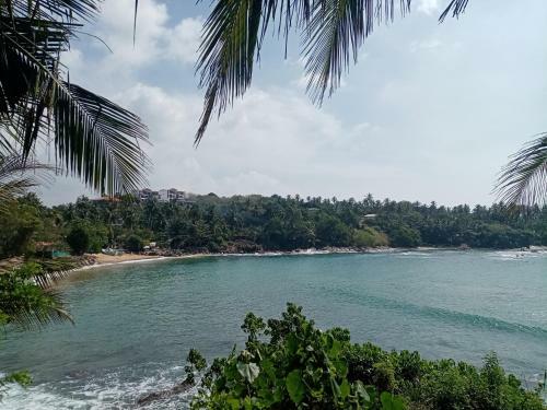 Surf Paradise Home Stay