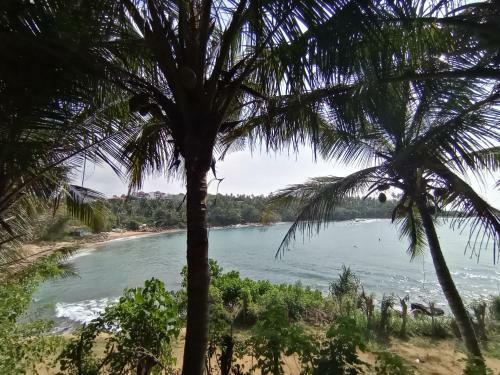 Surf Paradise Home Stay
