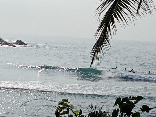 Surf Paradise Home Stay