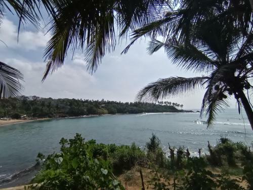 Surf Paradise Home Stay