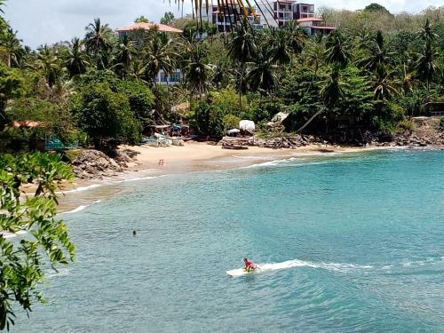 Surf Paradise Home Stay
