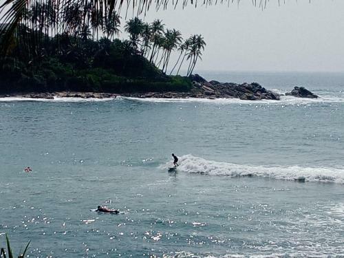 Surf Paradise Home Stay