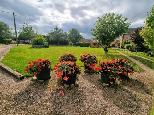 Paddock Cottage - Thorpe Arnold, Melton Mowbray - Sleeps 2