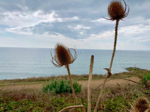 Shorefield Country Park,