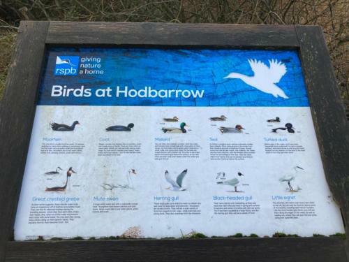 Kingdom Holiday Park - Parrot