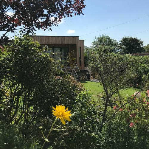 Bed & Breakfast Uplands Garden