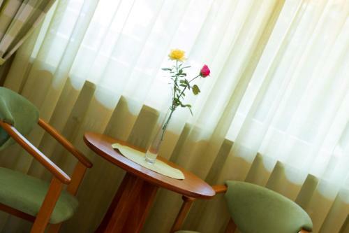 Hotel Haus R�merrast
