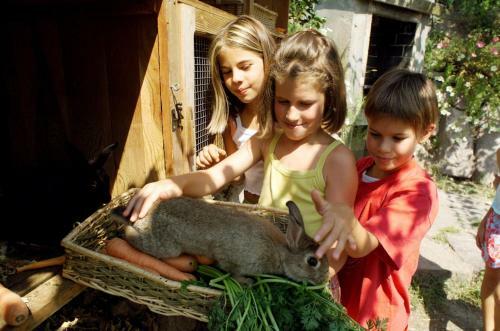 Aparthotel Residence Haus Kaltersee