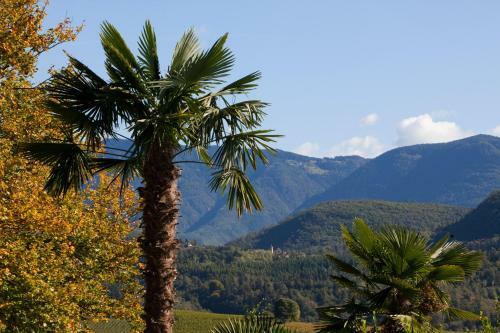 Apartamento Biobauernhof St. Quirinus