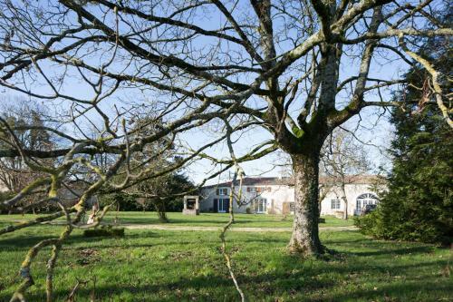 Bed & Breakfast La Bribaudonni�re