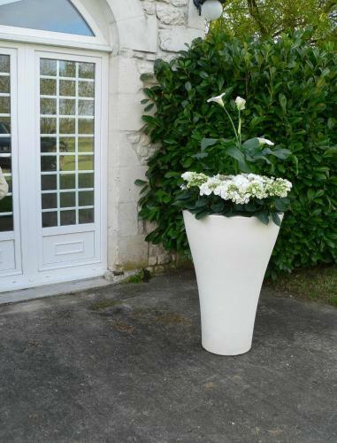 Bed & Breakfast La Bribaudonni�re