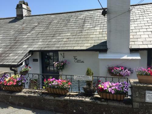 Bed & Breakfast The Cottles