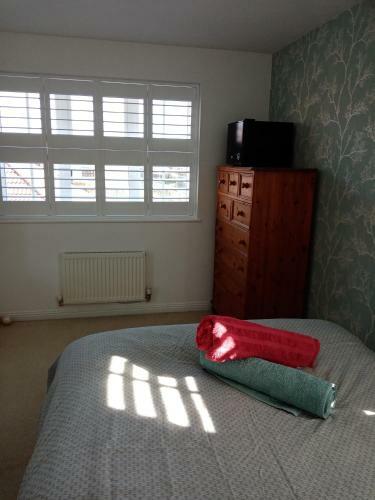 Hostal Newly Decorated Budget Double Room