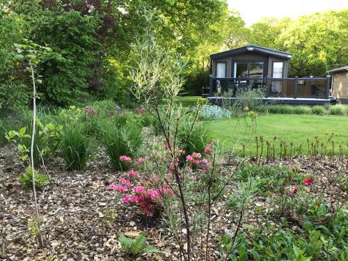 New Forest Holiday Lodge