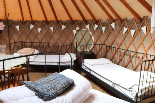 Yurtcamp Devon